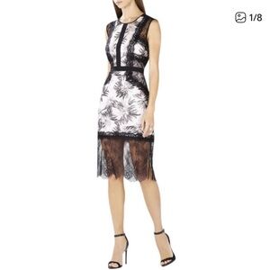 BCBGMaxAzria Black and Cream Floral Lace Midi Dress